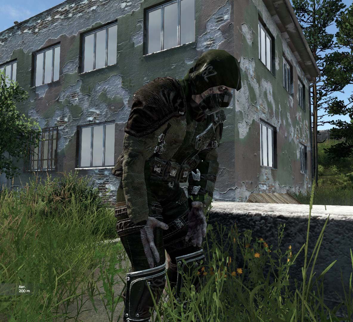 Изображение 3