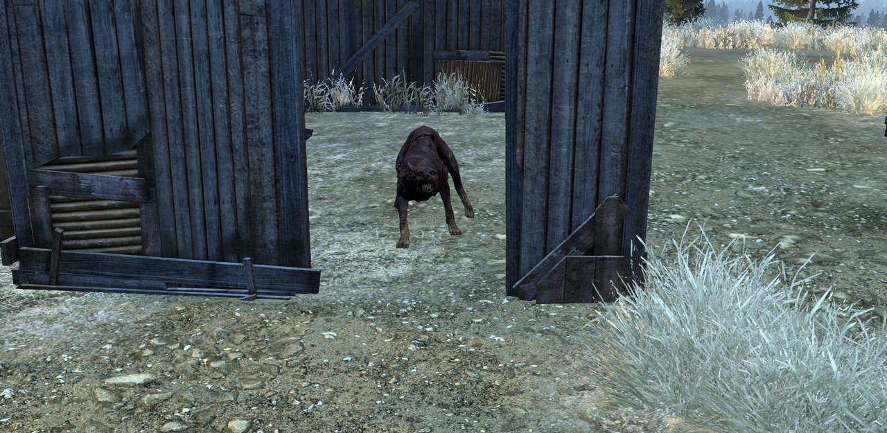 Изображение 0