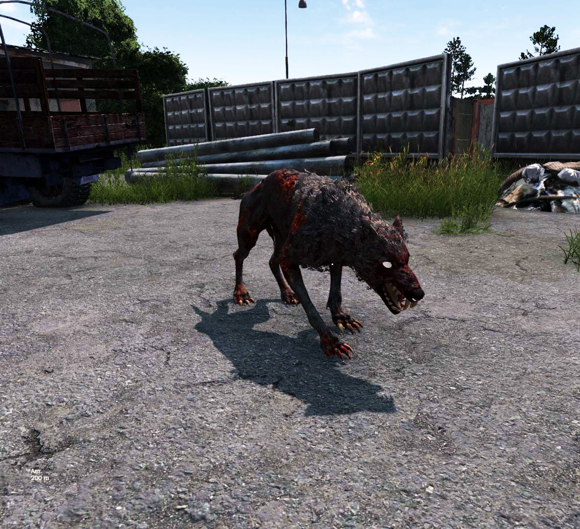 Изображение 10