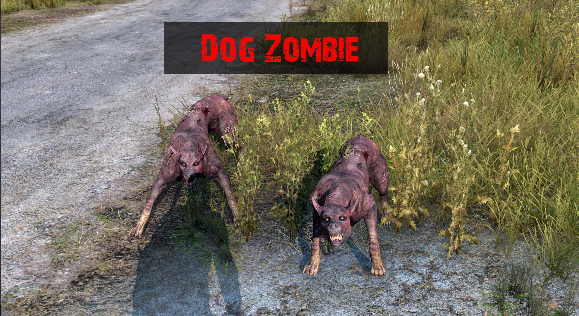 Dog Zombie